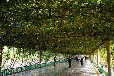 《王者荣耀世界》实机演示 与蒙犽并肩对战红霸霸